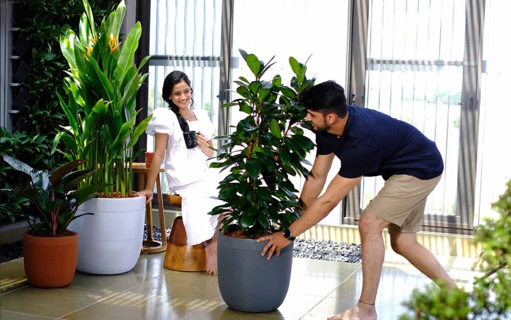 milano short planters 2