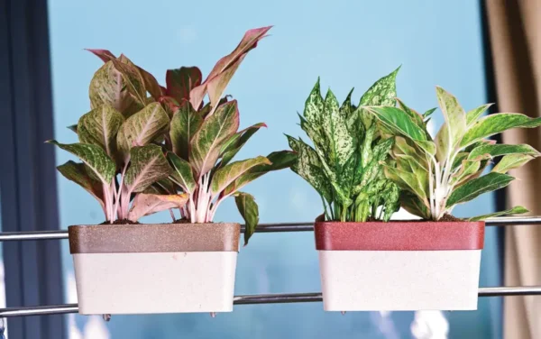 arty rectangle eco planters arty rectangle eco planters