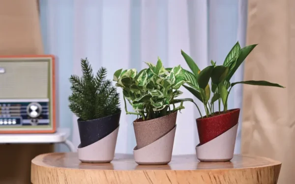 atlantis eco planters
