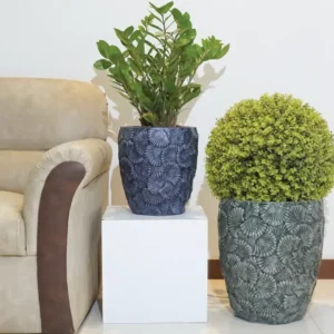 azziano planters