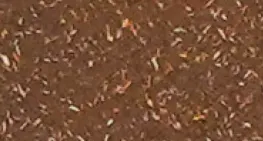 bello round eco planters