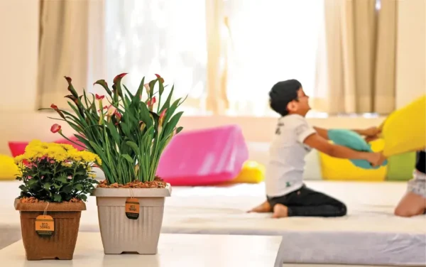 bello square eco planters