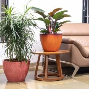 ceira planter