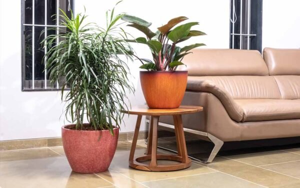 ceira planter