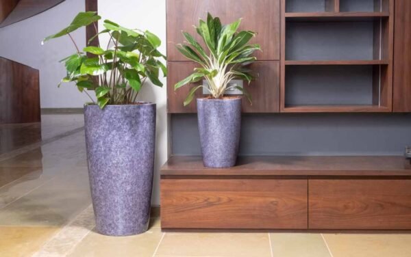cono planters