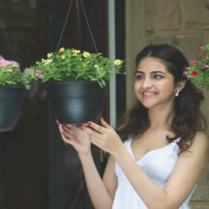 corsica hanging basket planters