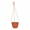 corsica hanging basket planters