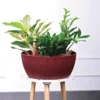 geneva eco planters