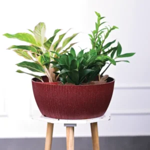 geneva eco planters