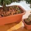 juniper planters