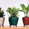 lagos eco planters