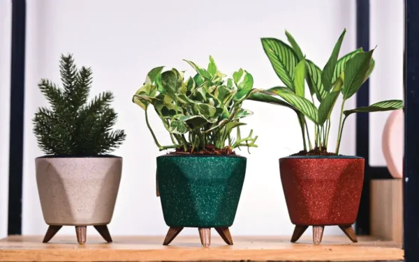 lagos eco planters