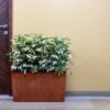 quadro planters