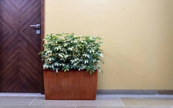 quadro planters quadro planters