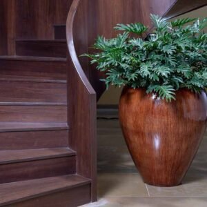 regal planters