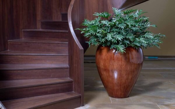 regal planters