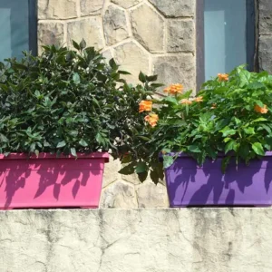 window planters