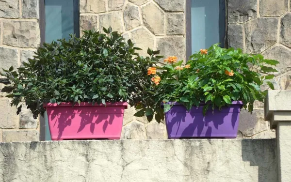 window planters