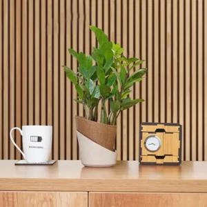 atlantis eco planters