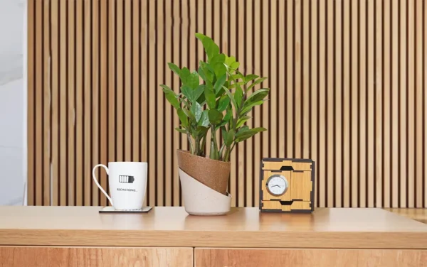 atlantis eco planters