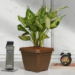 bello square eco planters