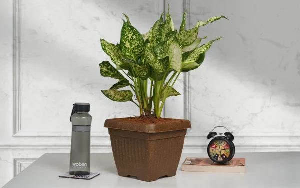 bello square eco planters