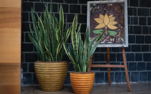 rib horizontal planters