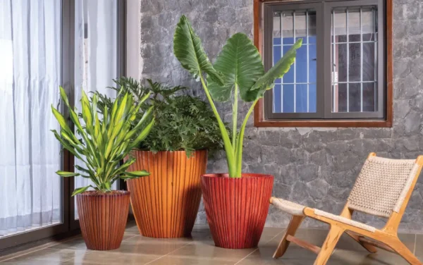 rib vertical xl planters