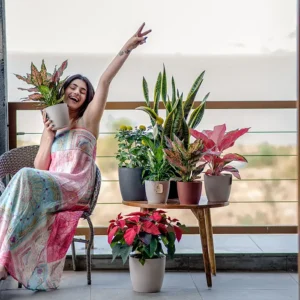 valencia eco planters