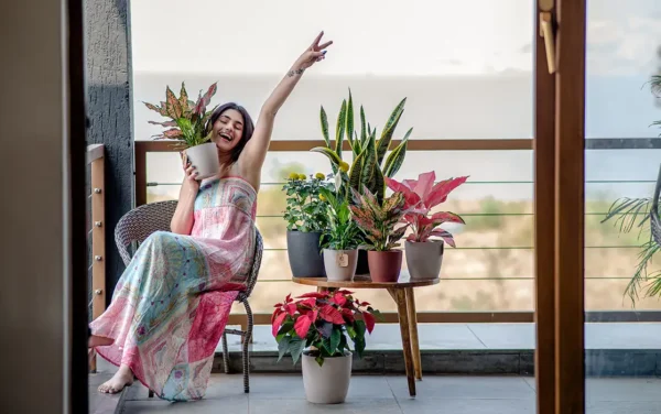 valencia eco planters valencia eco planters