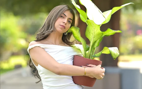 valencia eco planters valencia eco planters