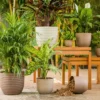 verona eco planters