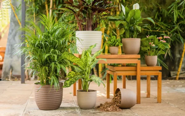 verona eco planters