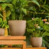 verona eco planters