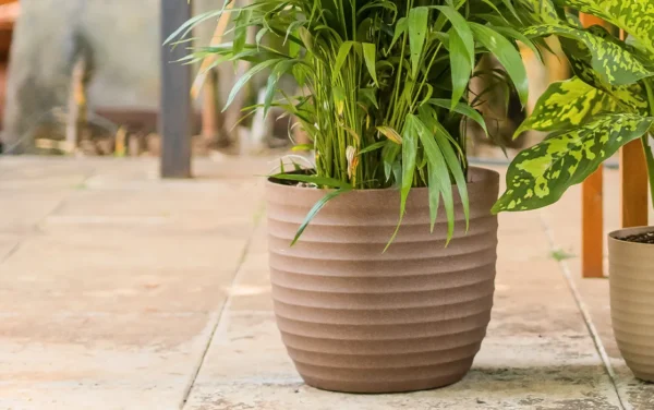verona eco planters