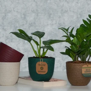 verona eco planters