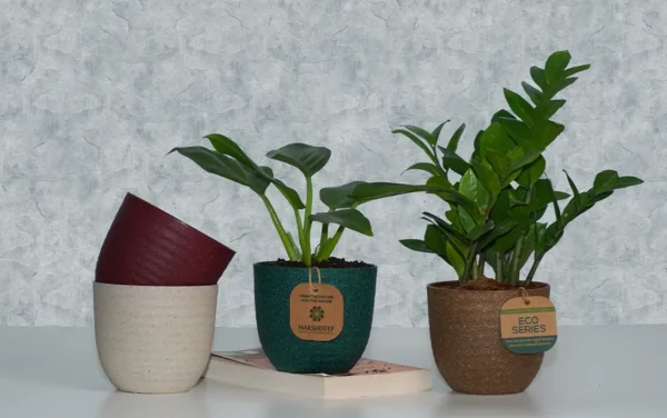 verona eco planters