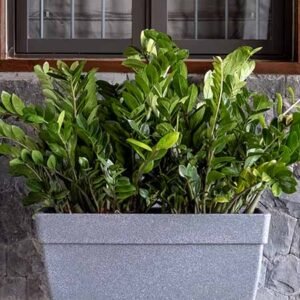 barca round planters