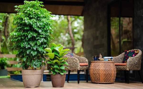 barca round planters