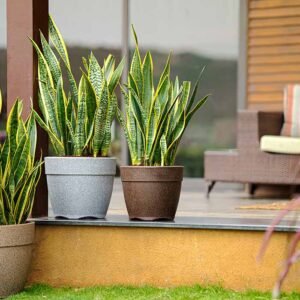 barca round planters