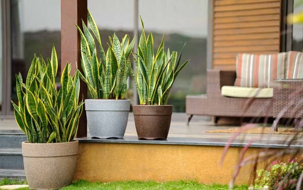 barca round planters