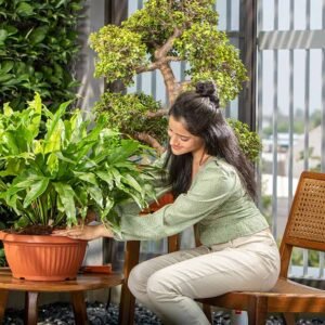 bello round planters