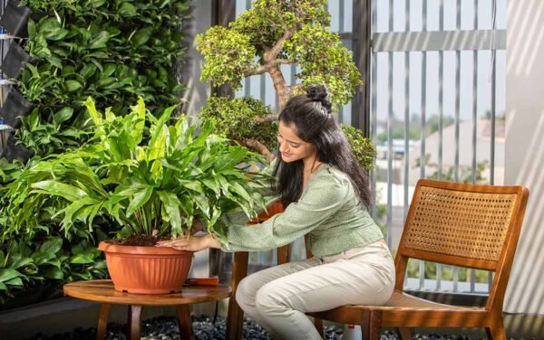 bello round planters bello round planters