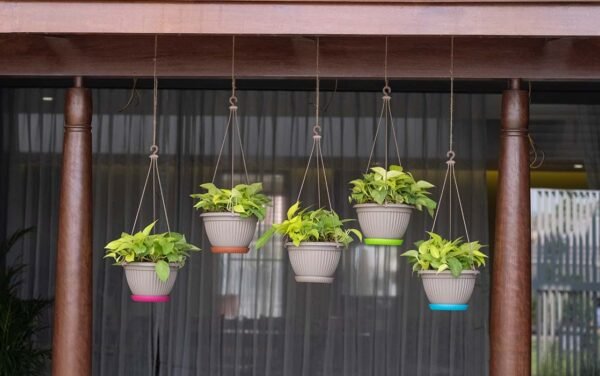 bello hanging planters