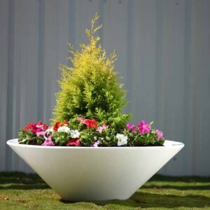 bowl planters