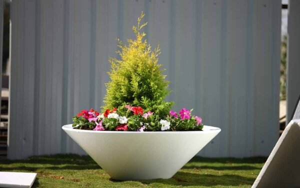 bowl planters