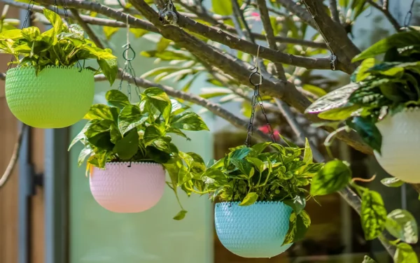 capri hanging planters capri hanging planters