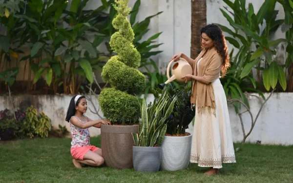drizzle watering can