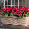 florence planter