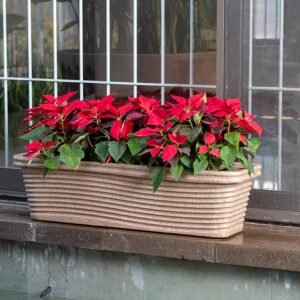 florence xl planter